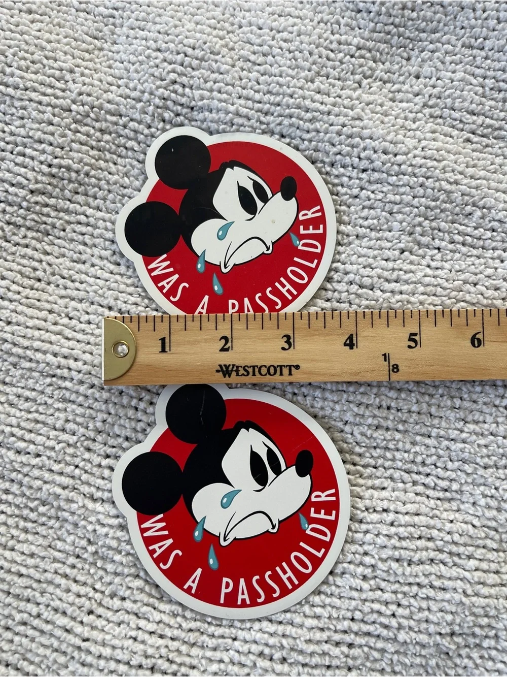 Disney Mickey Mouse annual  “Was a Passholder” Magnet Set of 2  Souvenir